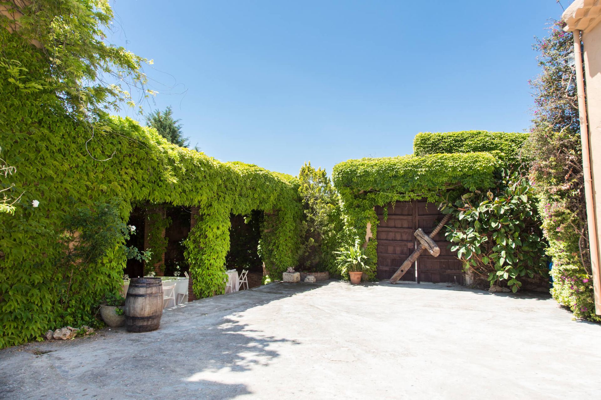 Patio exterior con enredaderas verdes y barrica de vino