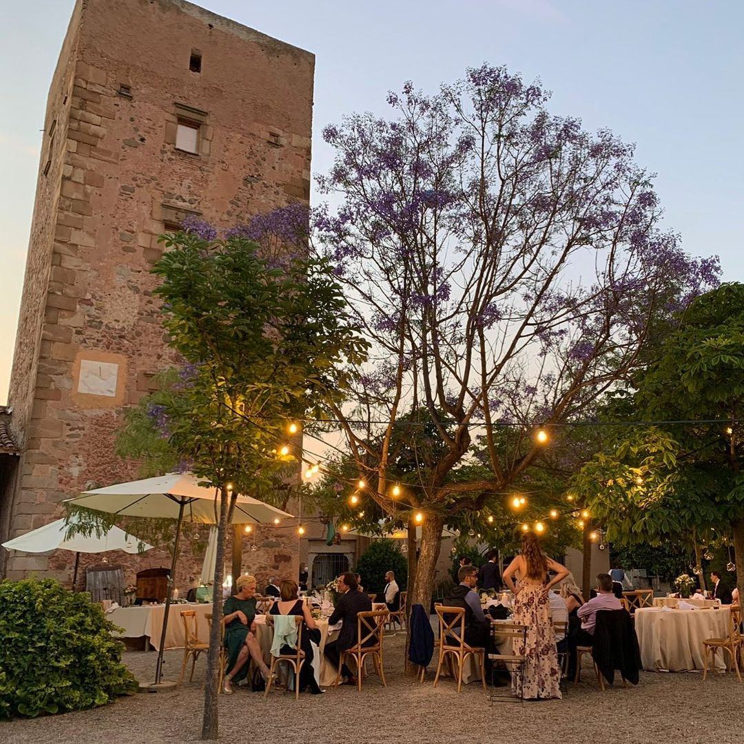 Invitados cenando bajo los árboles con luces cálidas y jacarandá